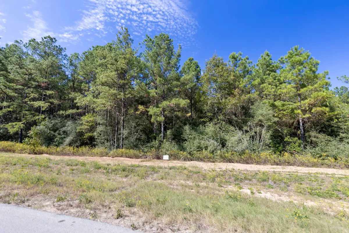 16002 Forest Mill Road, Willis, TX 77378 - #1