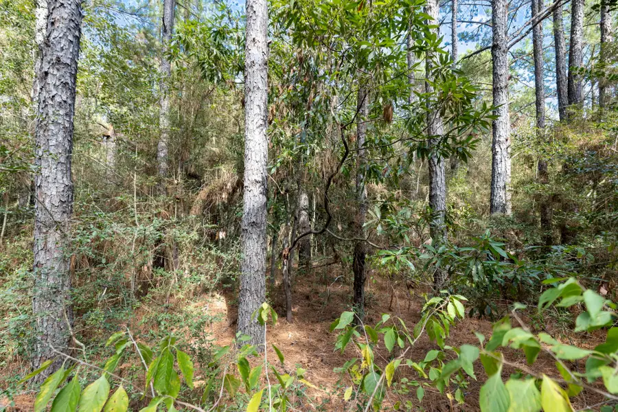 16002 Forest Mill Road, Willis, TX 77378 - #2