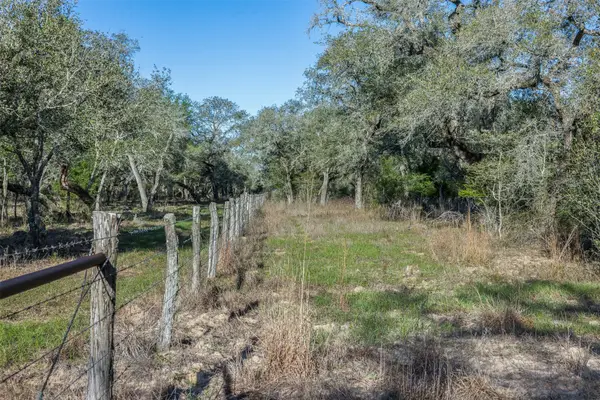 1746 County Road 103, Columbus, TX 78934