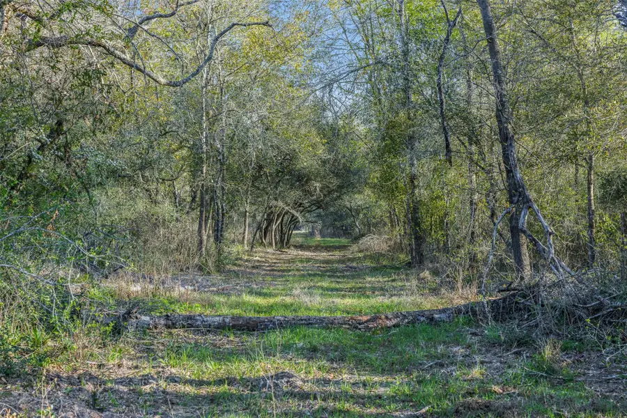 1746 County Road 103, Columbus, TX 78934 - #2