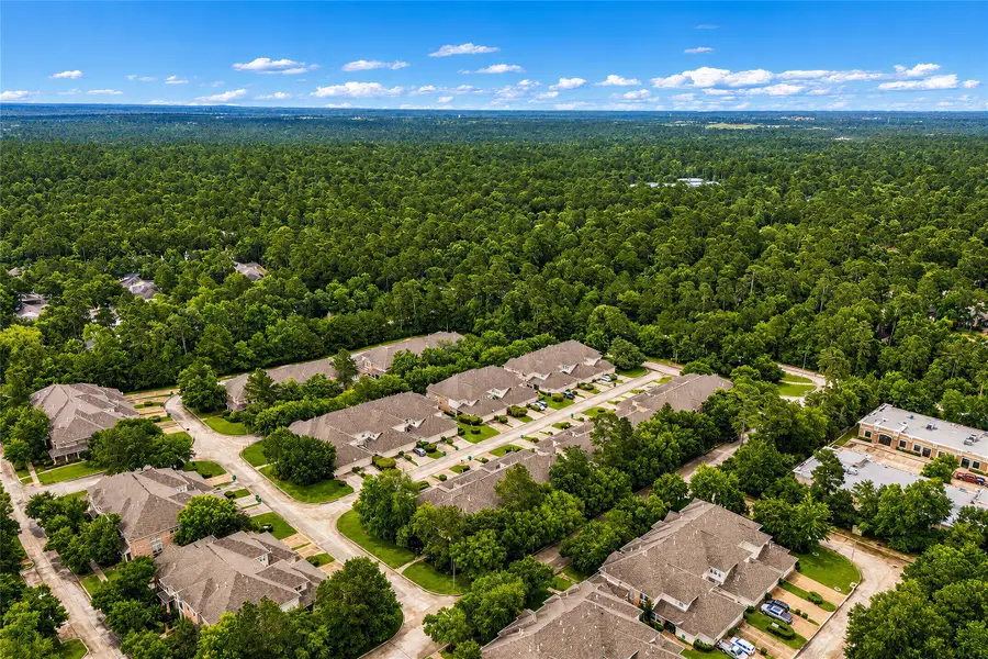 54 Ginger Jar Street, The Woodlands, TX 77382 - #2