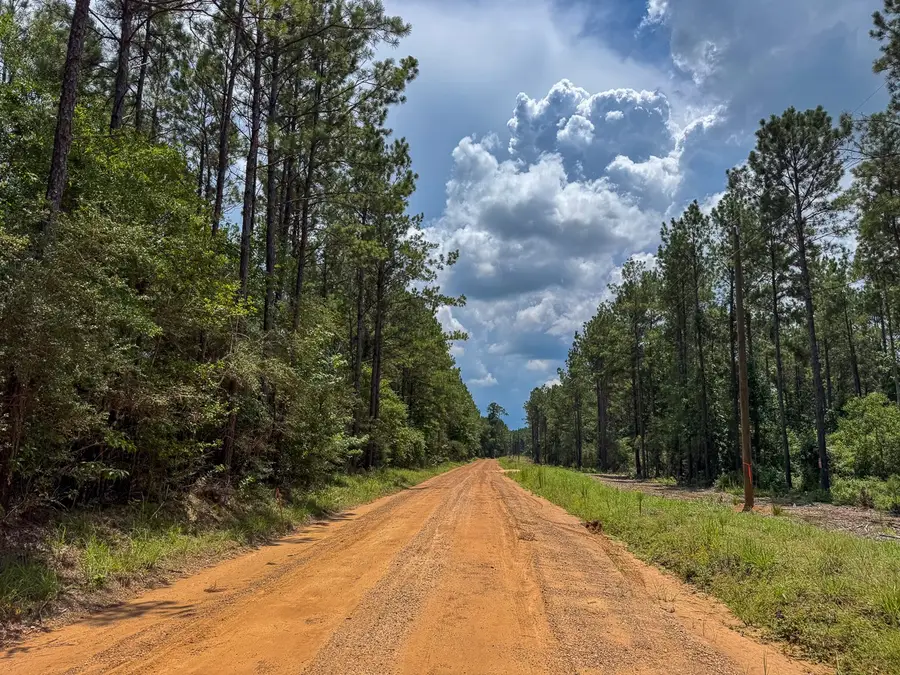 T-1 Benny Griffin Road, Livingston, TX 77351 - #2