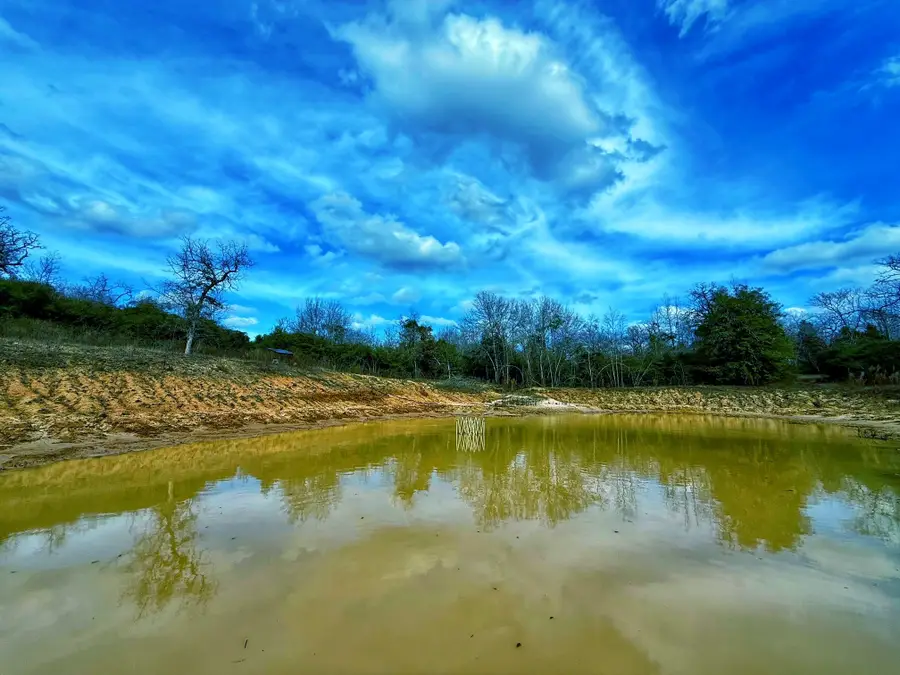 2328 Cr 301, Buffalo, TX 75831 - #3