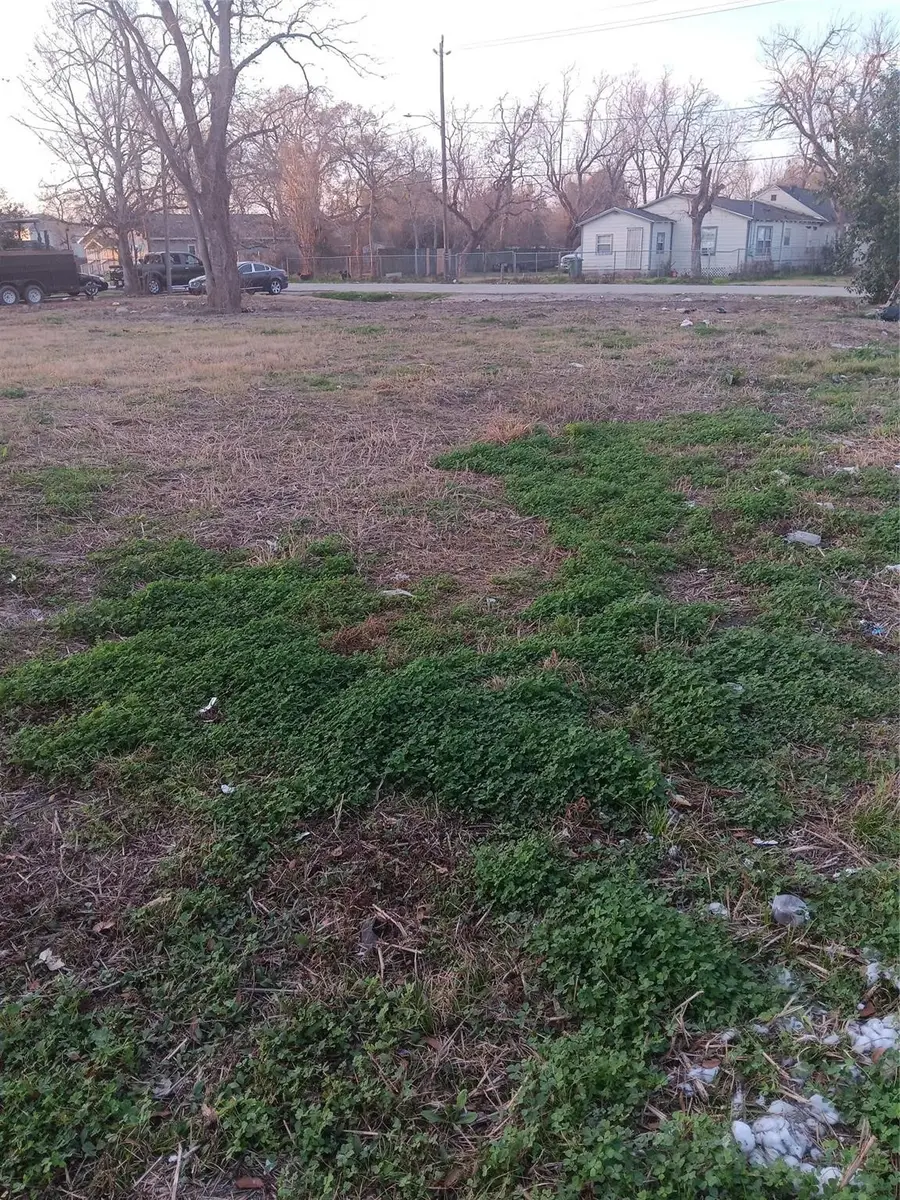 0 Maggie, Houston, TX 77051 - #2