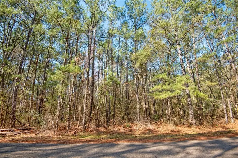 13681 Cr 201 Loop Lane, Plantersville, TX 77363 - #3