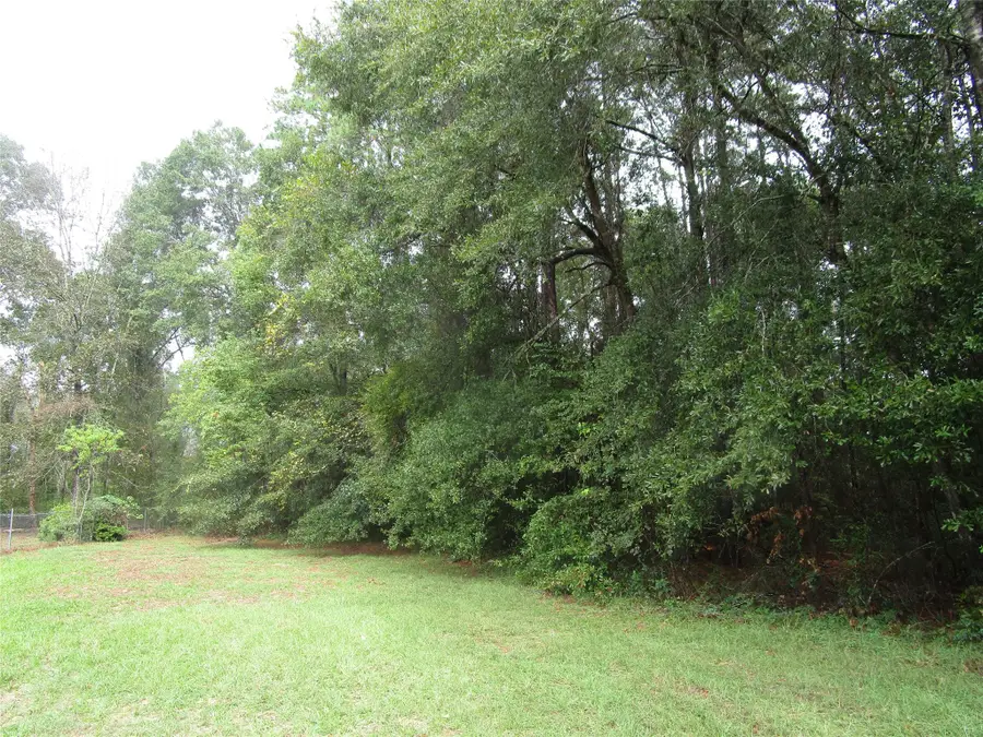 Lot 9 Stephens Forest, New Caney, TX 77357 - #3