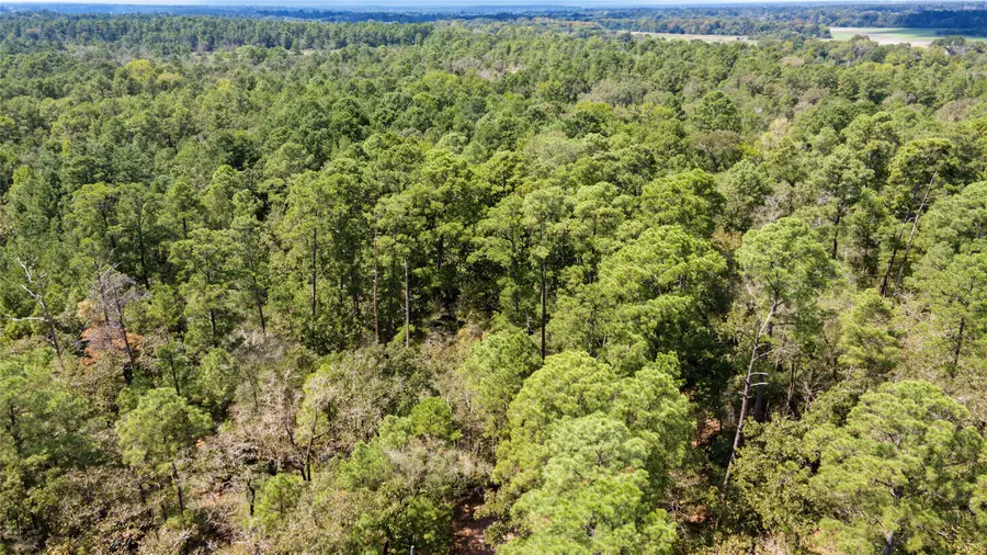 Lot 8 Tejas Street, Huntsville, TX 77320 - #3