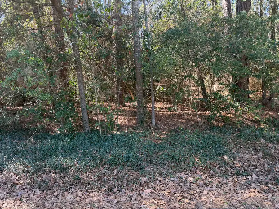 138 Paradise Valley Drive, Conroe, TX 77304 - #2