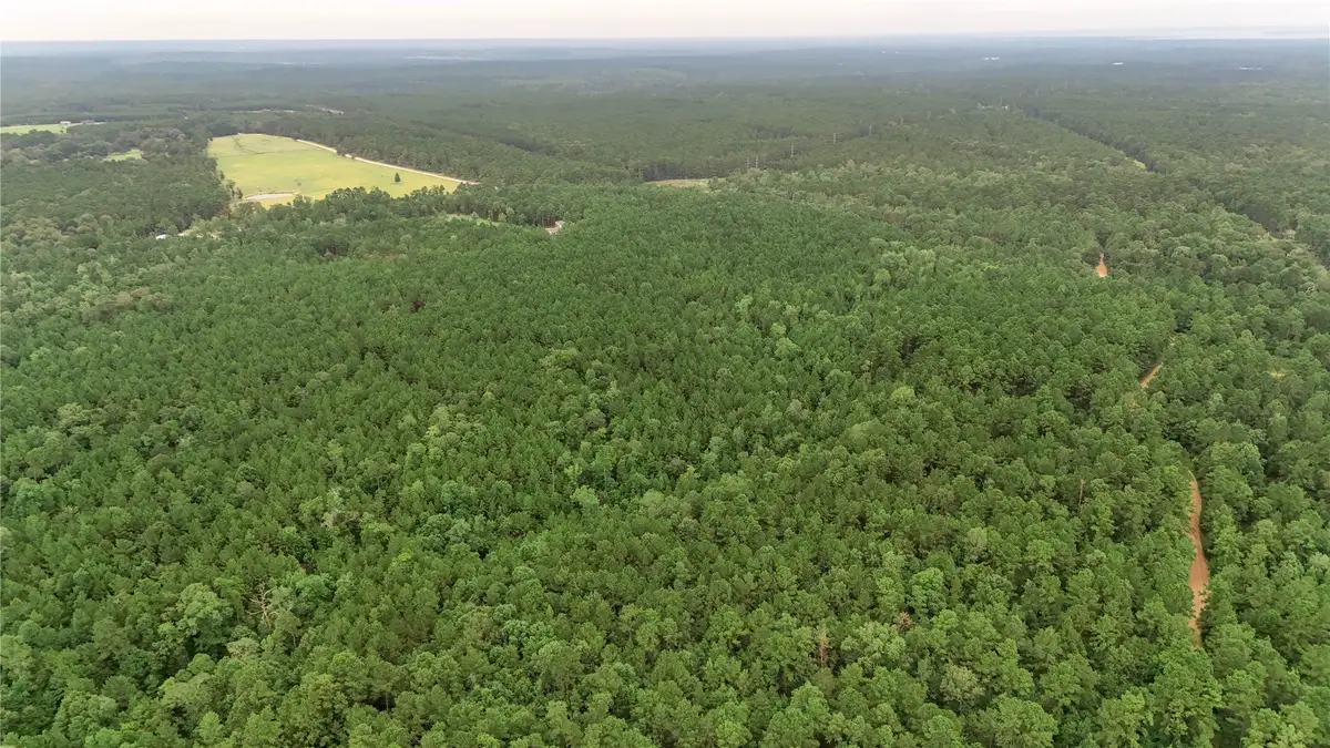 TBD John Hensley Road, Livingston, TX 77351 - #1