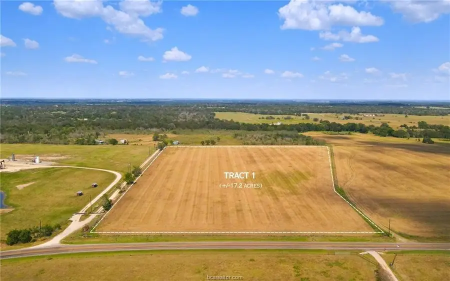 TBD Fm 166 - 17 Acres, Caldwell, TX 77836 - #2