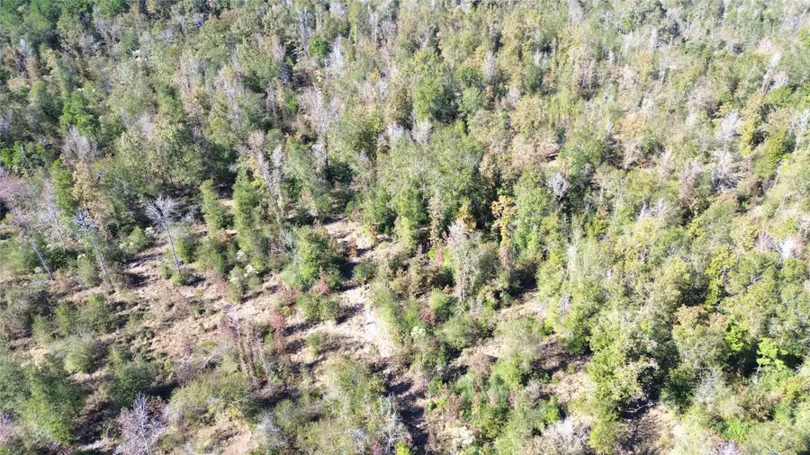 TBD Fm 1280 East, Lovelady, TX 75851 - Image #2