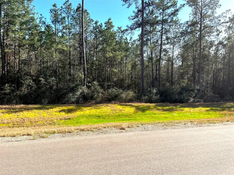 228 Exploration Road, Willis, TX 77378 - #3