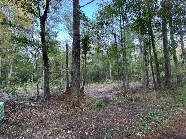 730 Cr 459, Kirbyville, TX 75956