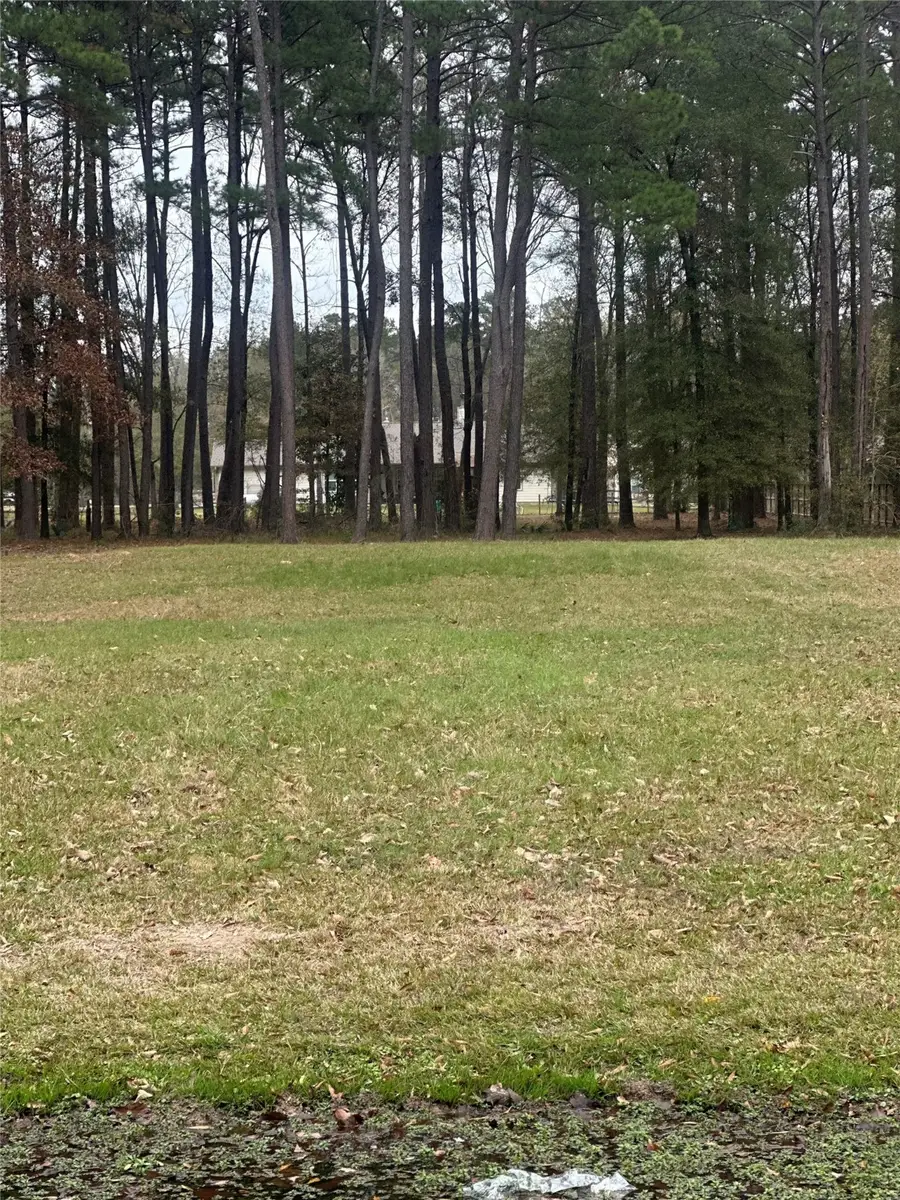 17107 Paluxy Court, Splendora, TX 77372 - Image #3