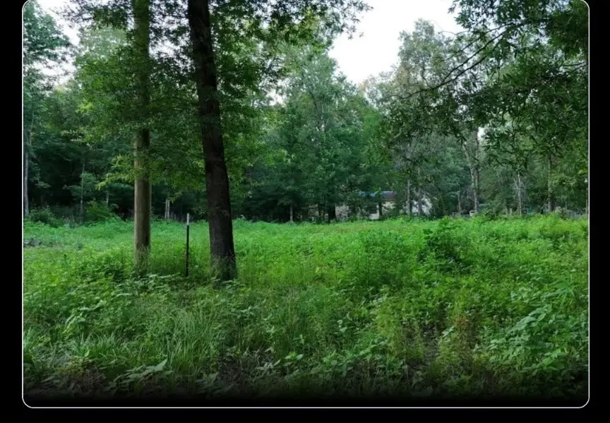 000 Panther Lane, Livingston, TX 77351 - #2