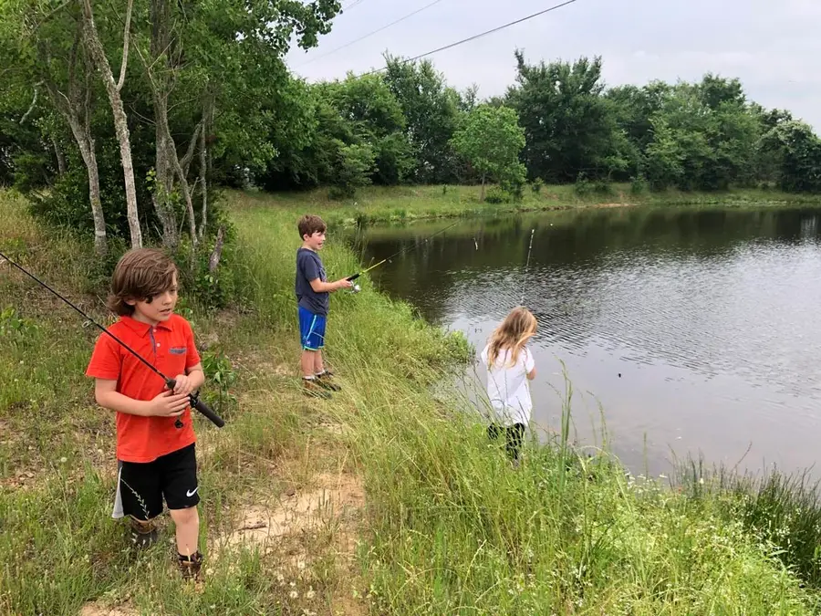 Lot 2 County Road 166, Iola, TX 77861 - Image #2