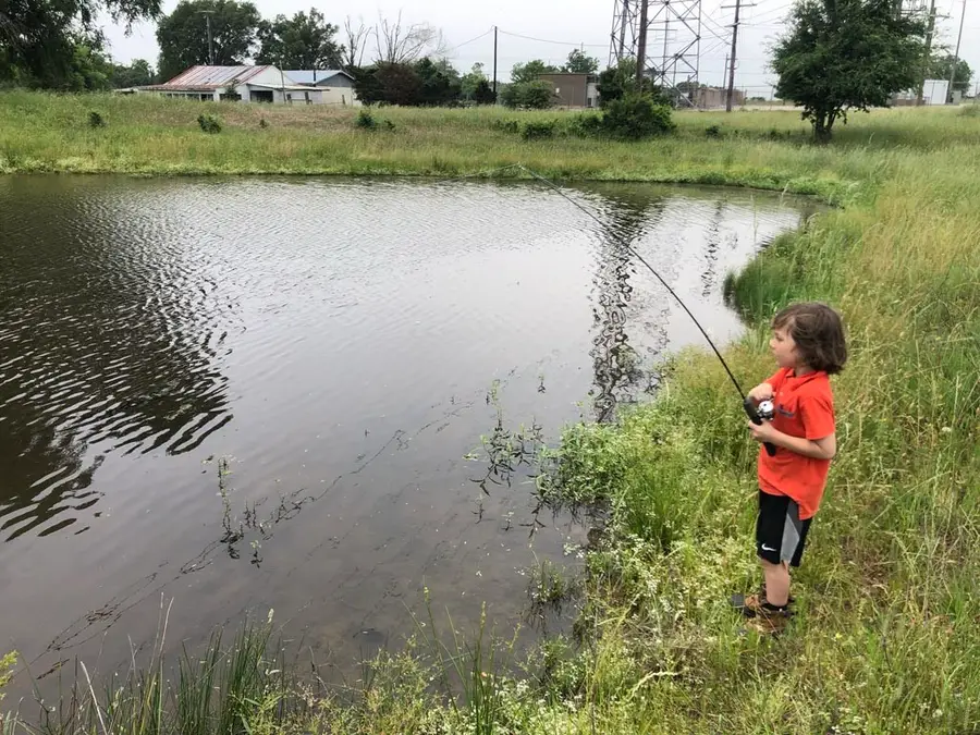 Lot 2 County Road 166, Iola, TX 77861 - Image #3