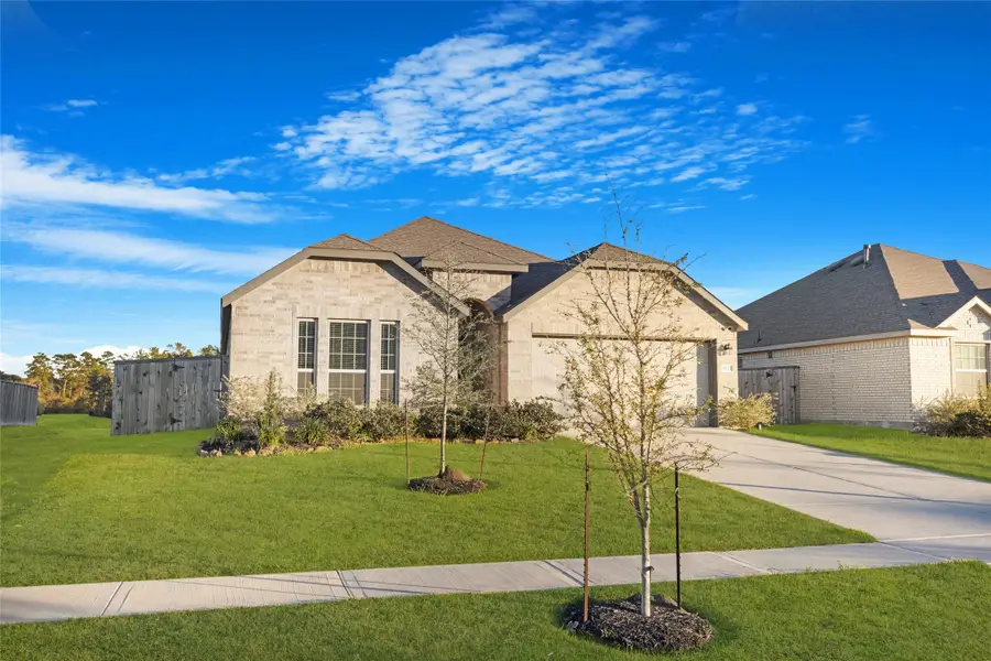 19111 Pinewood Grove Trail, New Caney, TX 77357 - #3