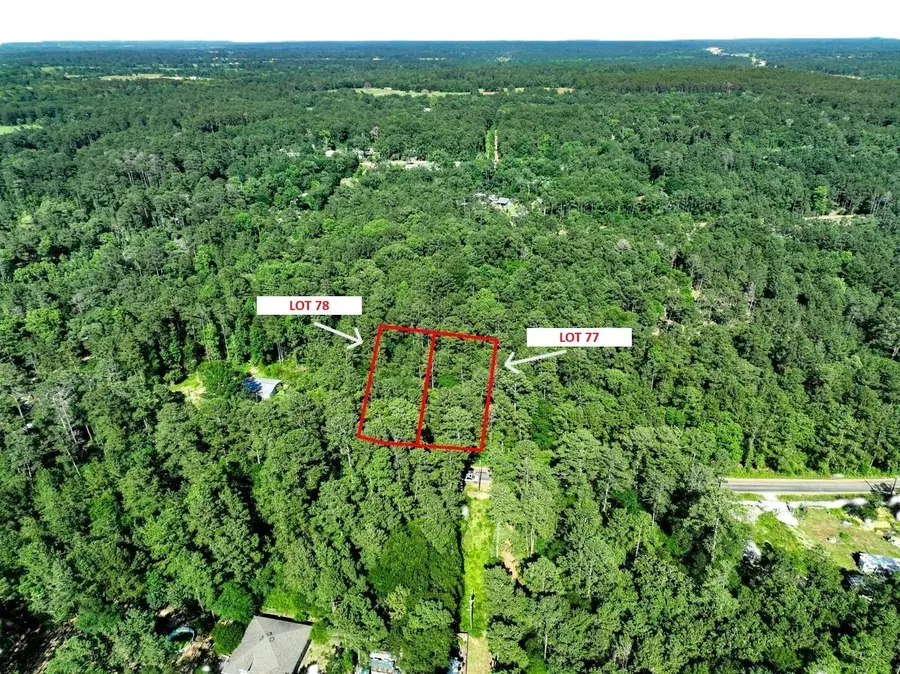 TBD Pinebrook Drive, Plantersville, TX 77363 - Image #2