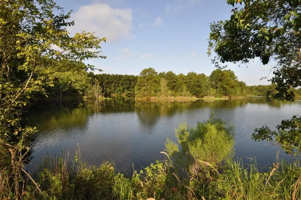 TBD Old Riley Fuzzel Rd, Spring, TX 77386 - Image #1