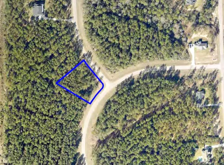 15609 Ridge Rock Road, Willis, TX 77378 - #3