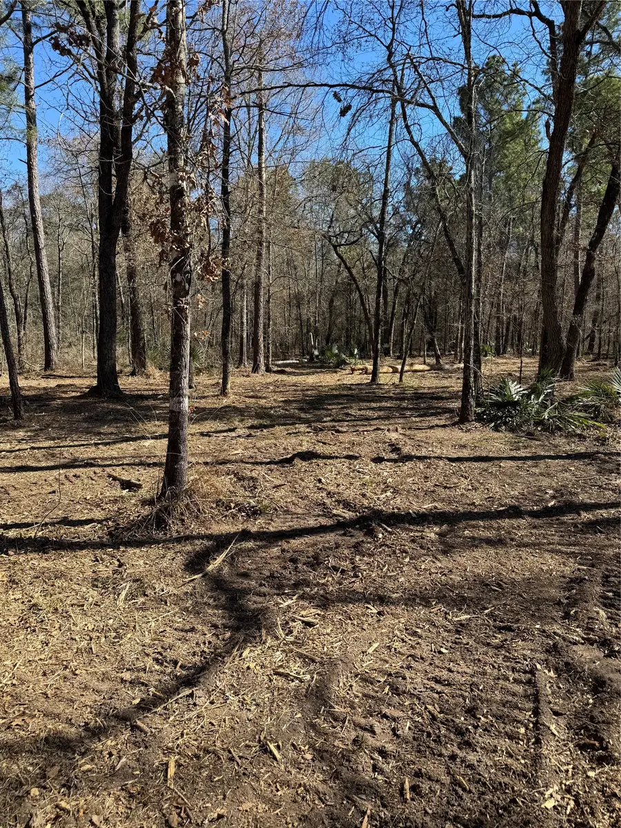 16 AC Steede Rd, Montgomery, TX 77356 - #3