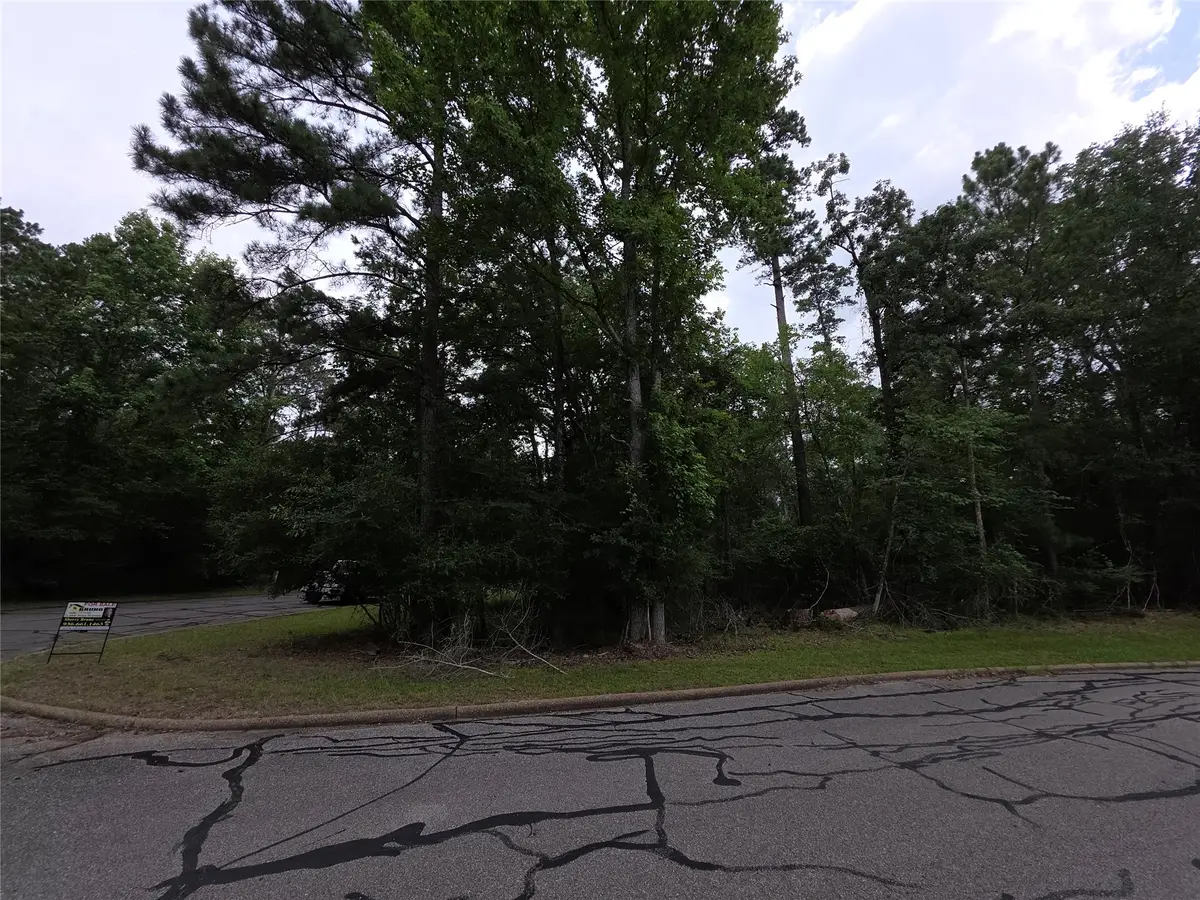 TBD Bermuda Dune, Huntsville, TX 77364 - #1