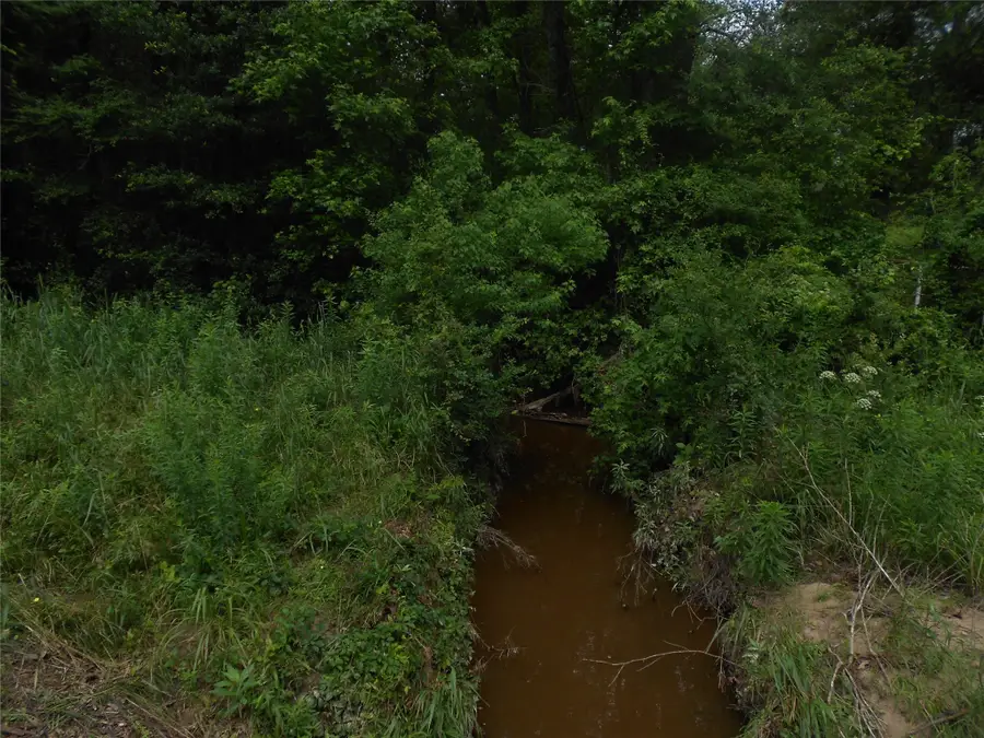 TBD Fm-233, Groveton, TX 75845 - Image #2