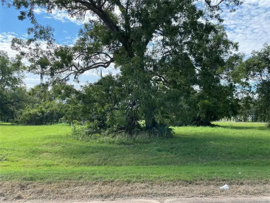 106 Horse Shoe Trail, Angleton, TX 77515 - #3