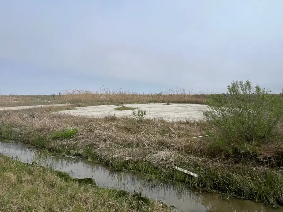 1338 Mabry Street, Gilchrist, TX 77617 - Image #3