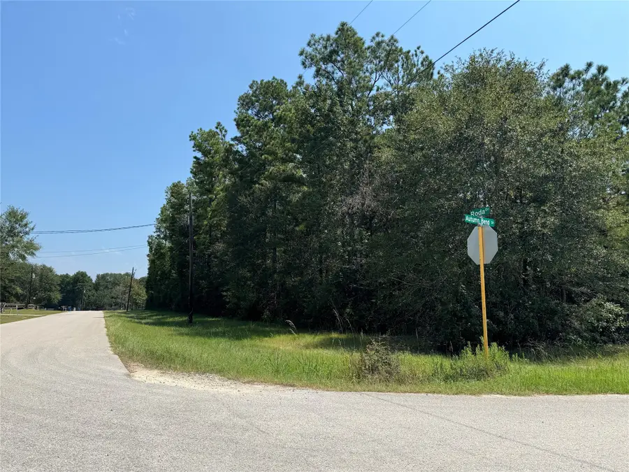 0 Roda, Conroe, TX 77303 - Image #3