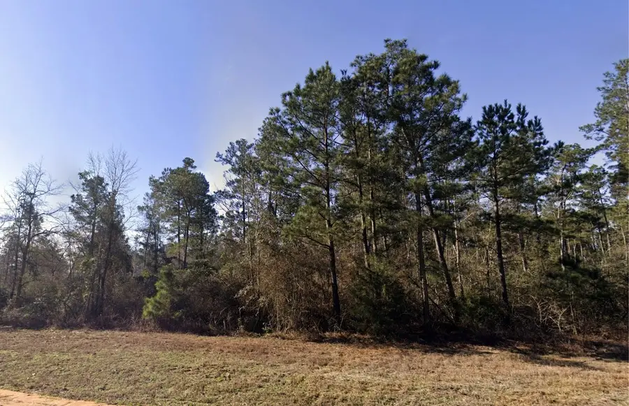 11622 Grand North Road, Willis, TX 77358 - #3