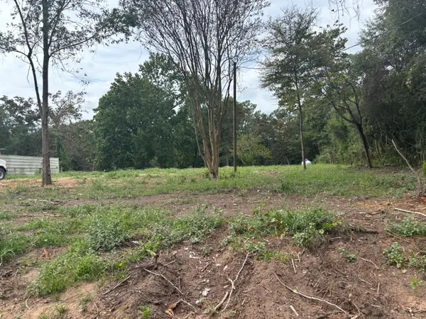 30512 Lake Circle Lane, Magnolia, TX 77354