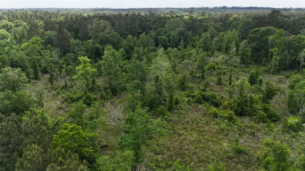 TBD J Hickman Road, Leggett, TX 77350