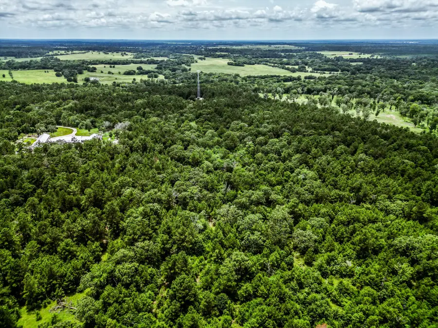 TBA State Highway 75 N, Huntsville, TX 77320 - Image #3