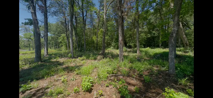 Lot 9 County Road 494, Jewett, TX 75846 - #3