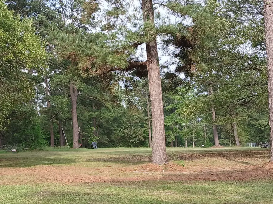 0 County Road 232, Richards, TX 77873 - Image #3