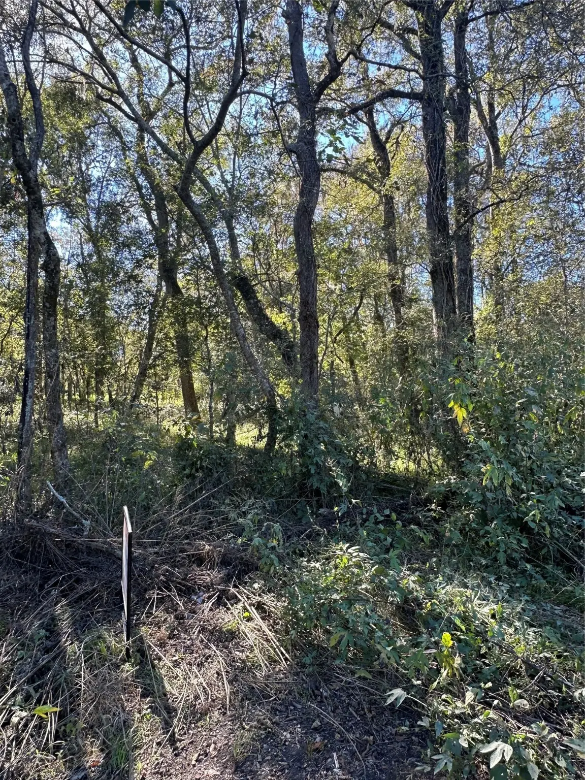 00 Oak Forest Drive, Guy, TX 77444 - Image #1