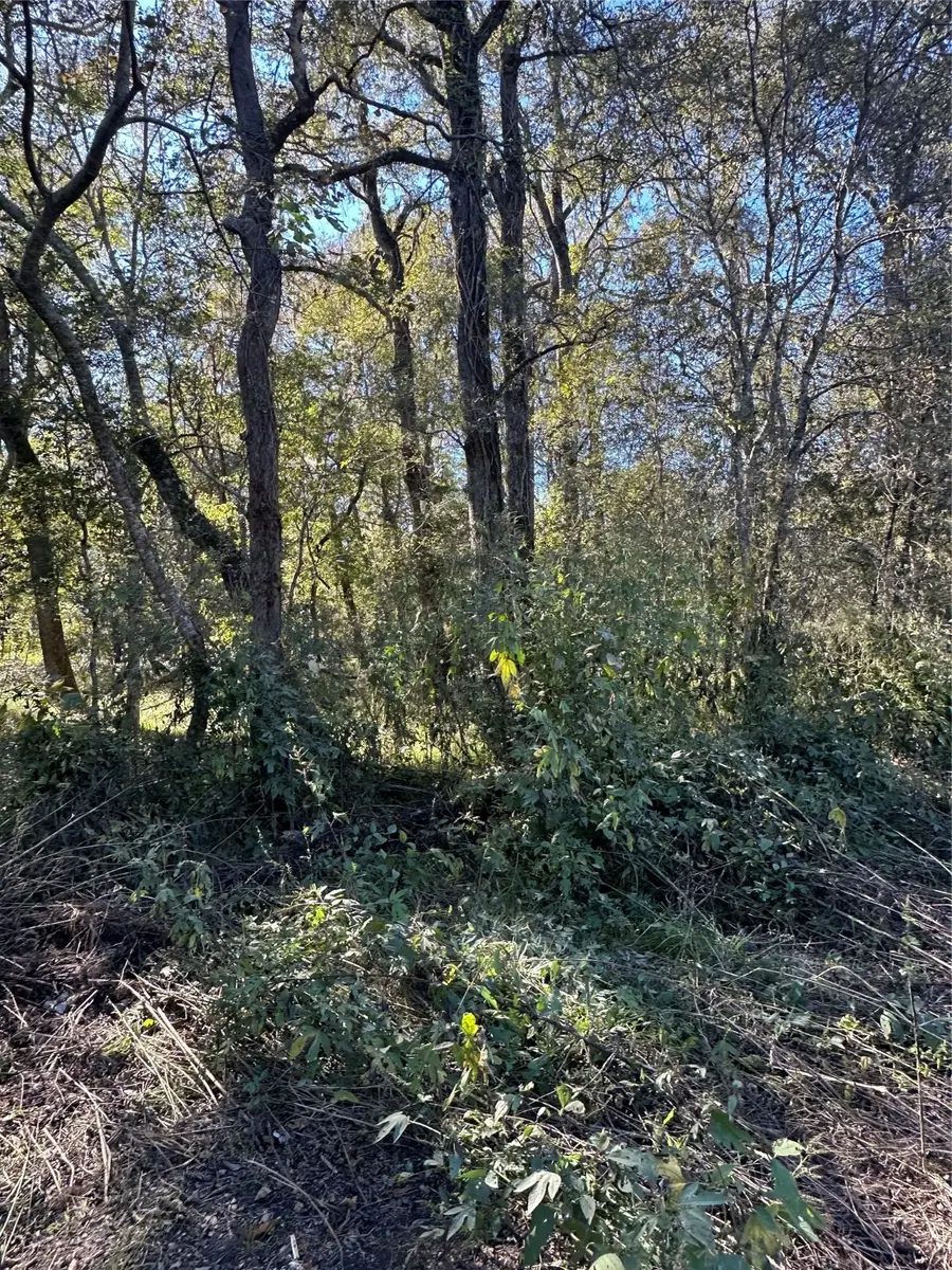 00 Oak Forest Drive, Guy, TX 77444 - Image #2