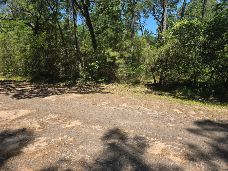9102 Blue Lake Drive, Plantersville, TX 77363 - #3