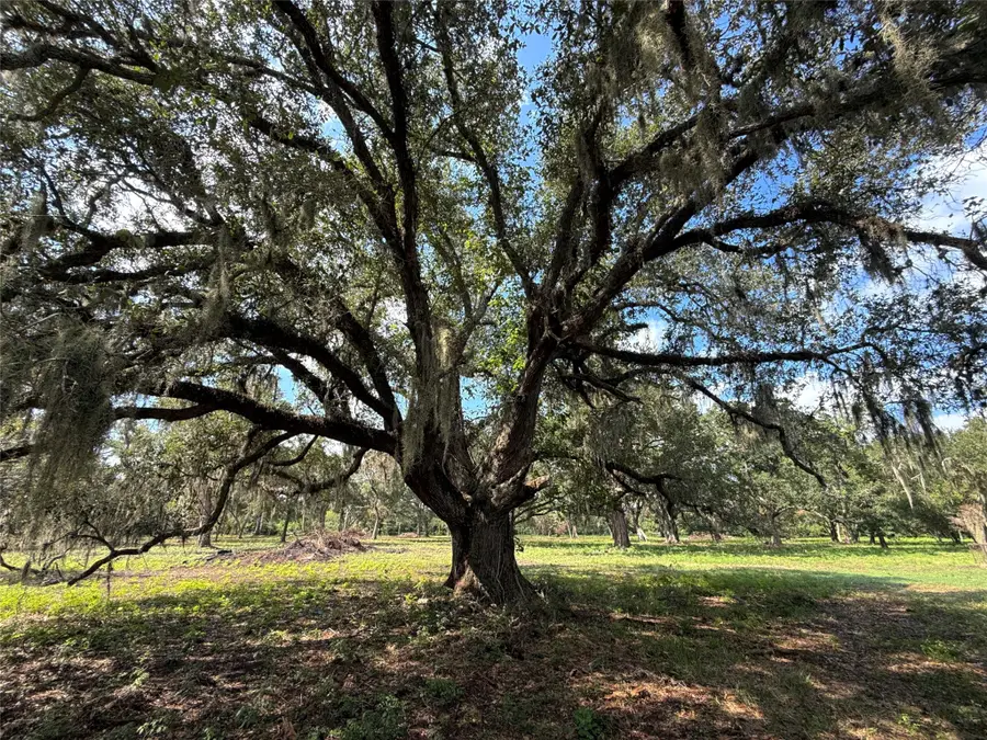 Lot 2 S F Austin, Freeport, TX 77541 - #2