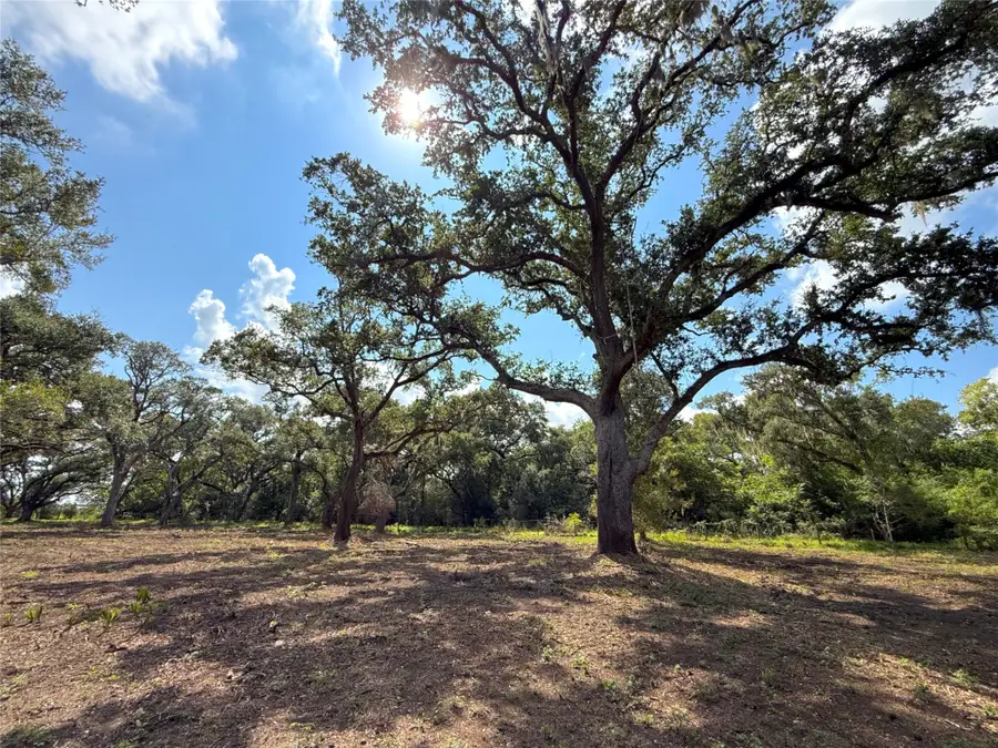 Lot 2 S F Austin, Freeport, TX 77541 - #3