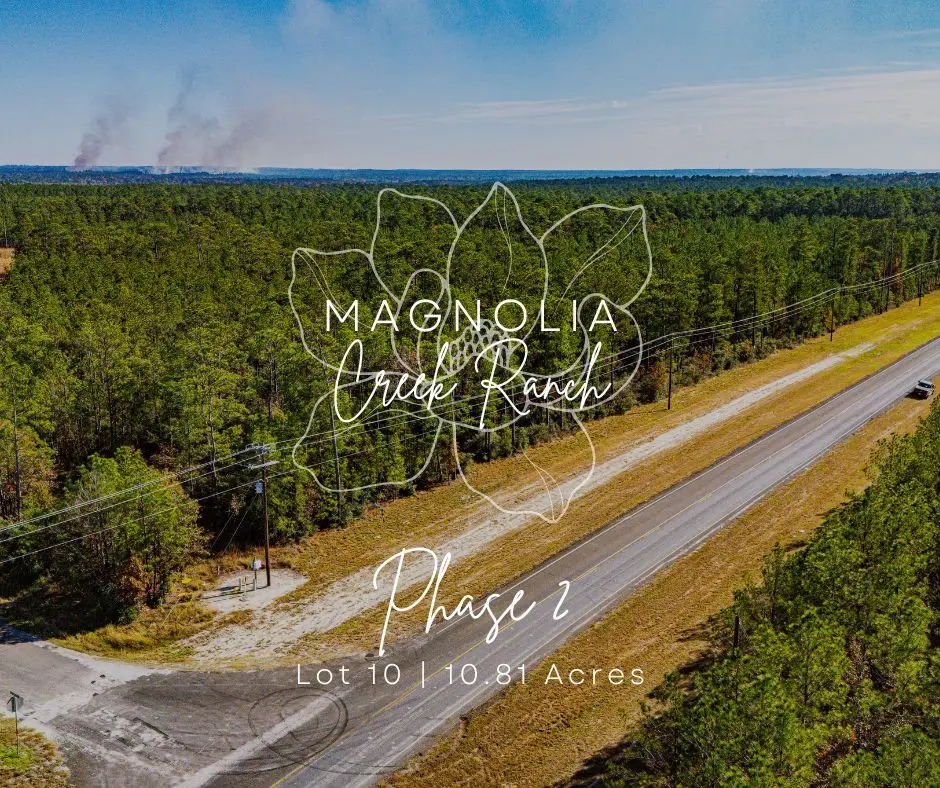 0210 Sportsman Retreat Rd Road, Onalaska, TX 77360 - Image #1