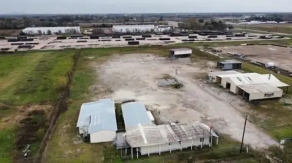 4901 Shank Road, Pearland, TX 77581