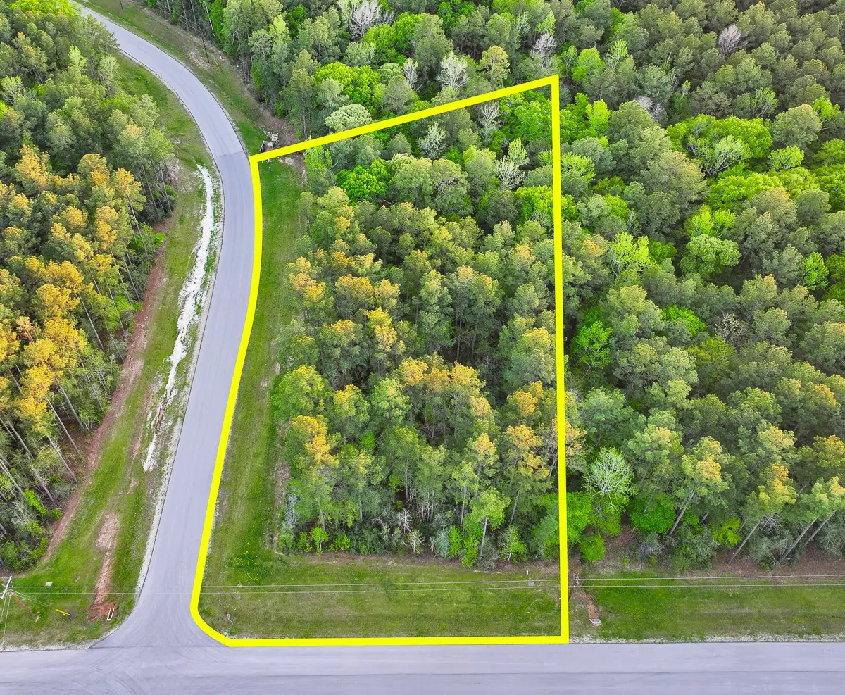 00 Copperleaf Road, Huntsville, TX 77340 - Image #1