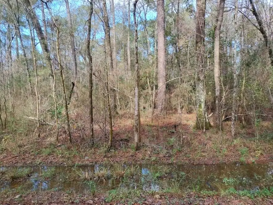 570 E Sunset Drive, Vidor, TX 77662 - Image #2