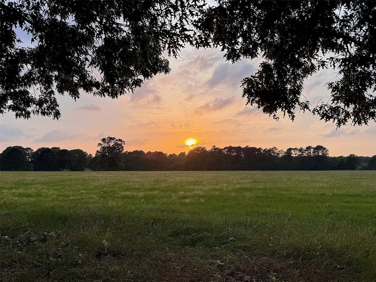 934 Jones Road, New Waverly, TX 77358 - Image #1