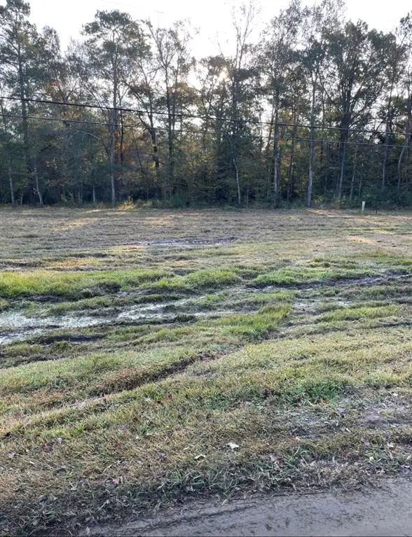 12423 Mustang Dr, Splendora, TX 77372 - Image #1