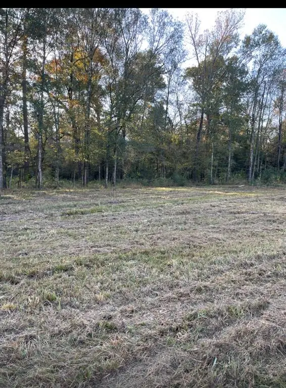 12423 Mustang Dr, Splendora, TX 77372 - Image #2