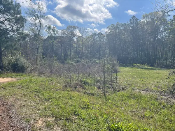 TBD Elenor Drive, Cleveland, TX 77328